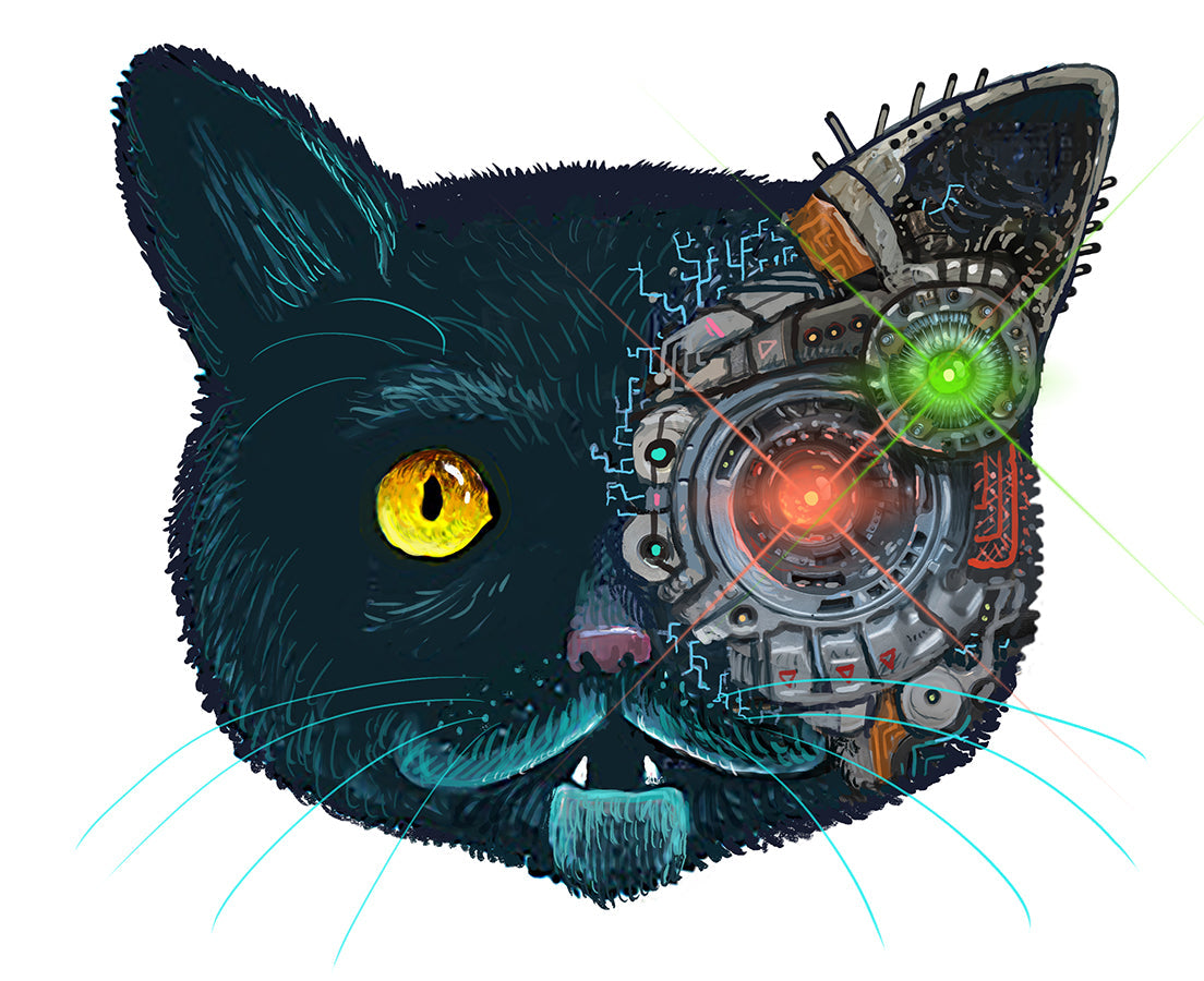 Cyber Black Cat Pouncing Early on 11.15.21