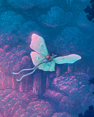 Gliding Quiet Heights